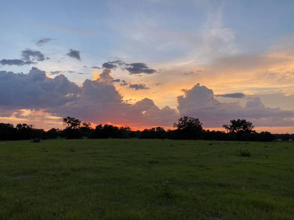 New 100+ Site RV Park  For Sale North Florida with 120 additional acres and house $6,000,000