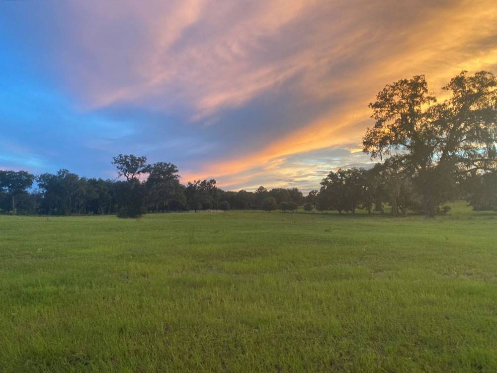 New 100+ Site RV Park  For Sale North Florida with 120 additional acres and house $6,000,000